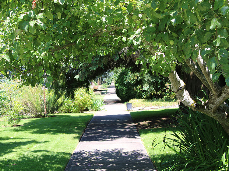 A Morning in the Parkland Gardens
