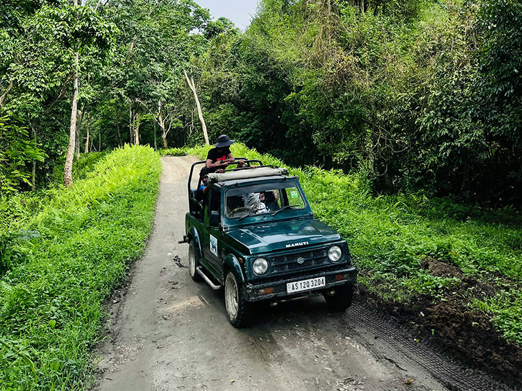 A First-Timer's Guide to Jungle Safaris in Chitwan