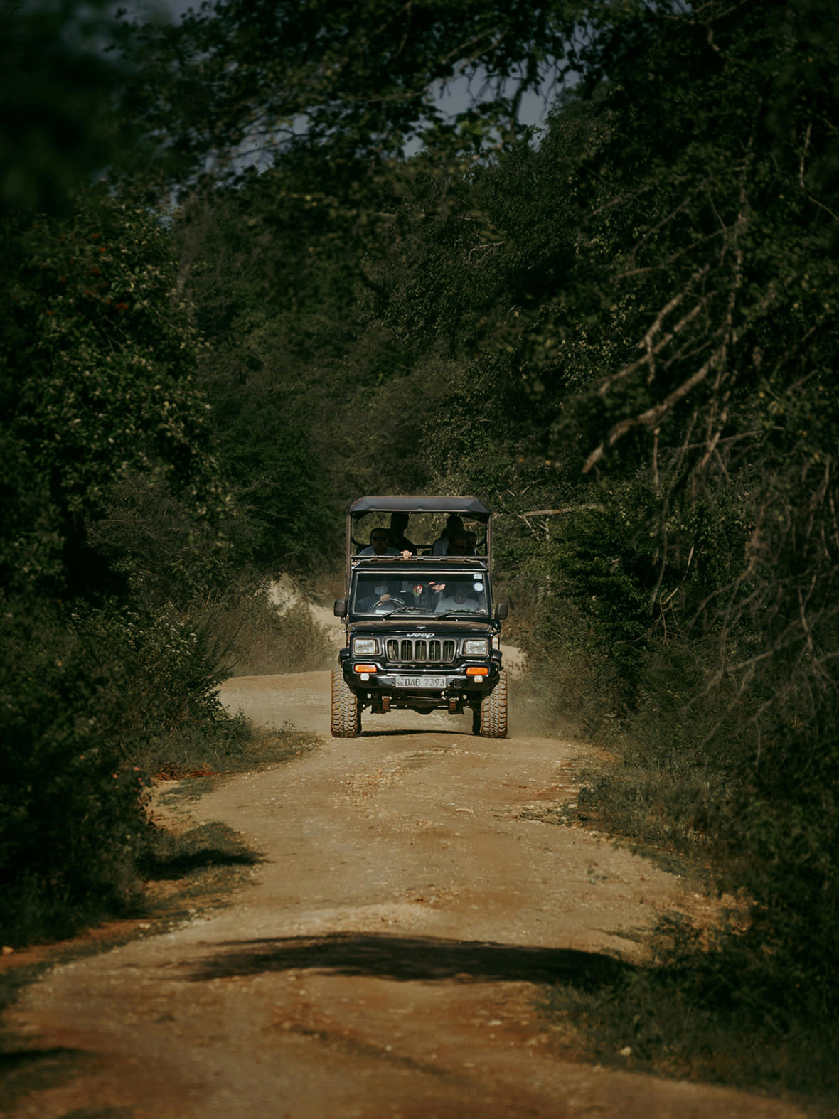 jungle-jeep-drive