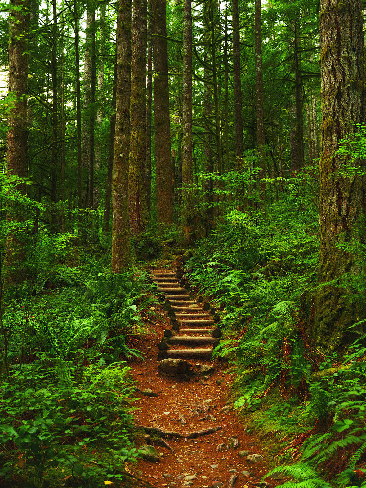 guided-nature-walk