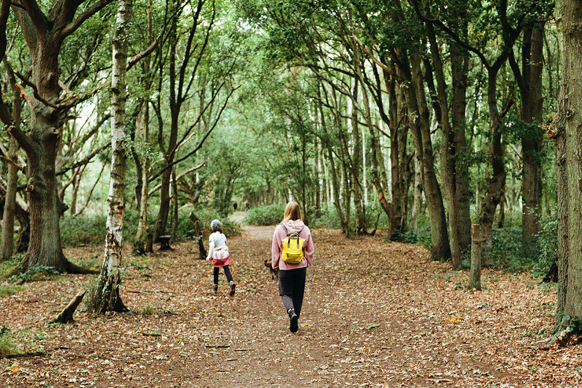 Guided nature walk through a forest trail